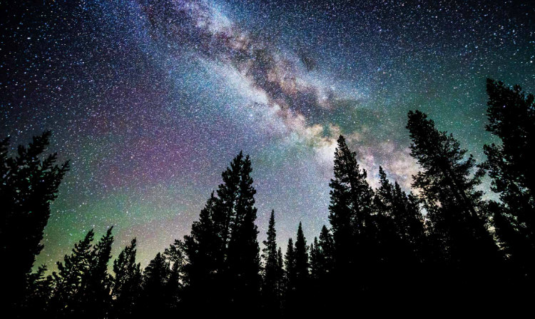 Trees and Milky Way