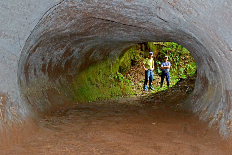 Mysterious Mega-tunnels of South America dug by extinct Megafauna