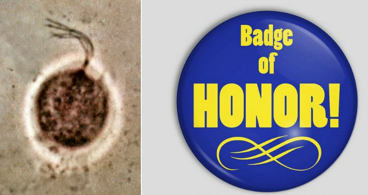 Trichomonas vaginalis and badge of honor