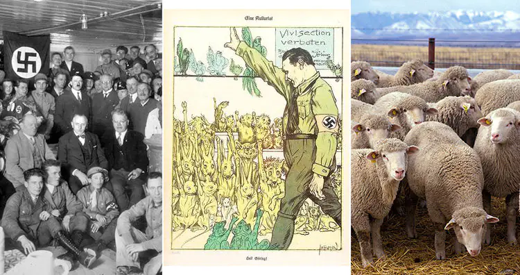Nazi party and animal rights poster and sheep
