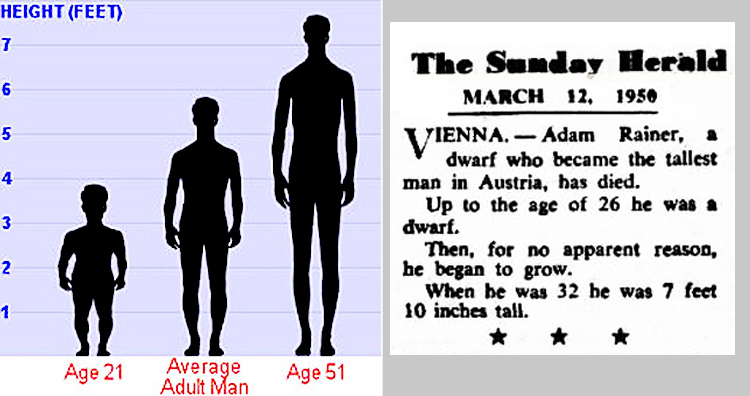Adam Rainer height chart and death notice