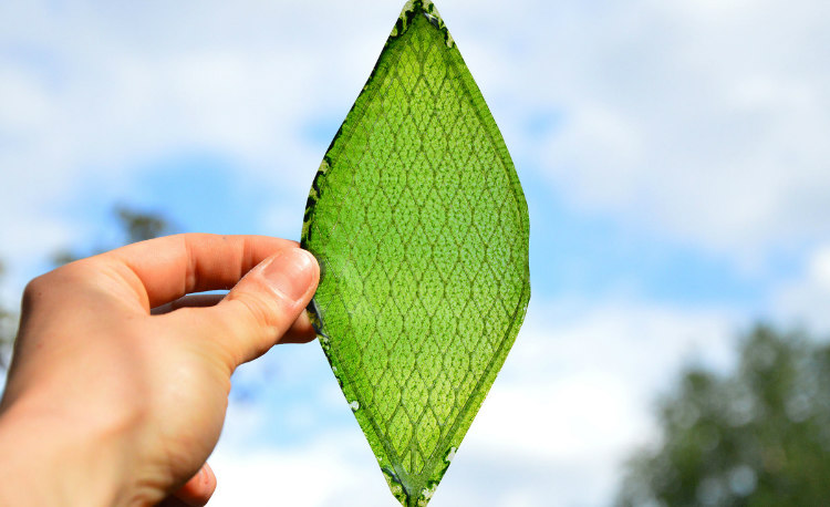 Melchiorri Silk Leaf