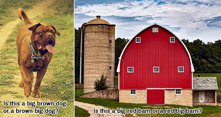 big brown dog, big red barn