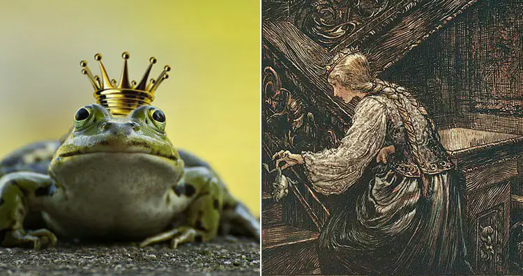 Frog in crown and Frog Prince illustration