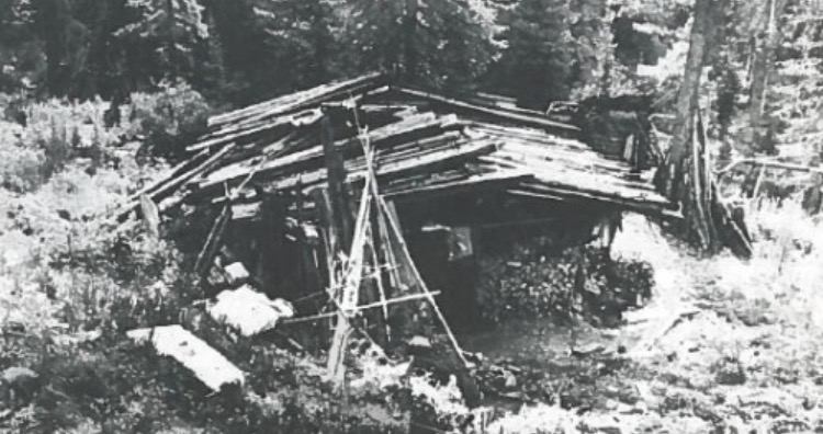 The Lykov family cabin
