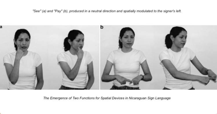 Nicaraguan Sign Language