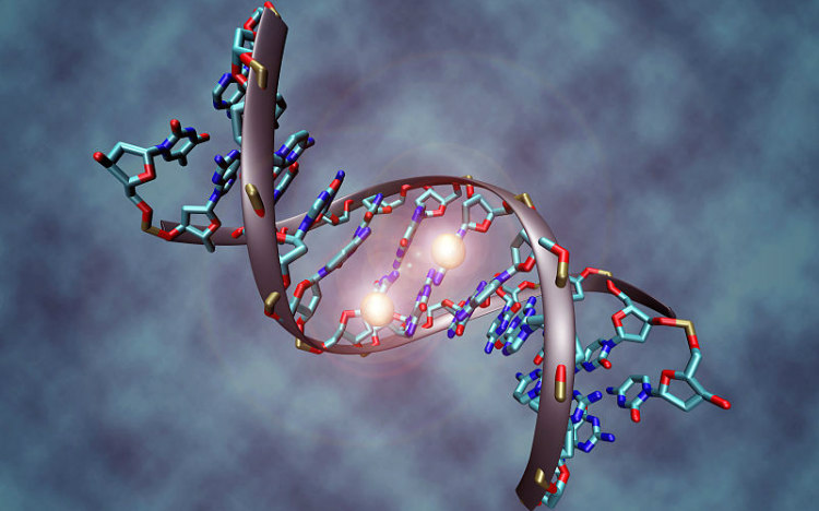 Epigenetics, DNA Methylation