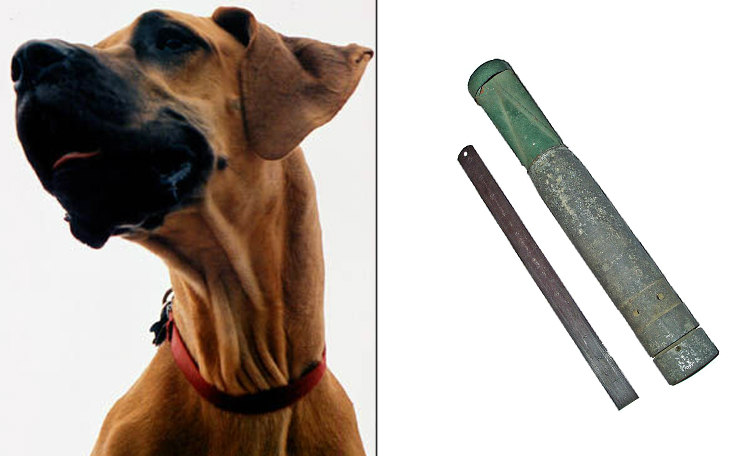 A Great Dane and an Incendiary Bomb