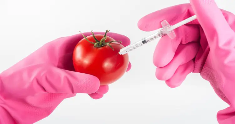 Genetically Modified Organisms are not proven to be harmful