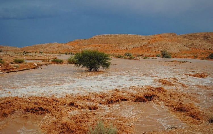 Flash Floods in Libyan Desert