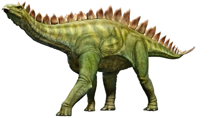 Stegosaurus had tiny brain