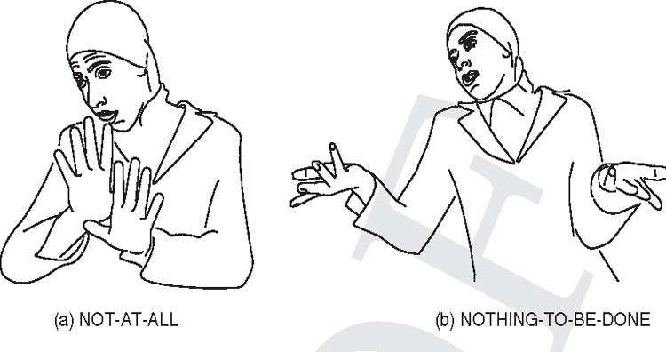 Al-Sayyid-Bedouin-Sign-Language