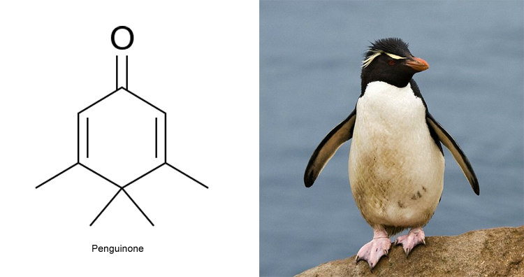 Penguinone