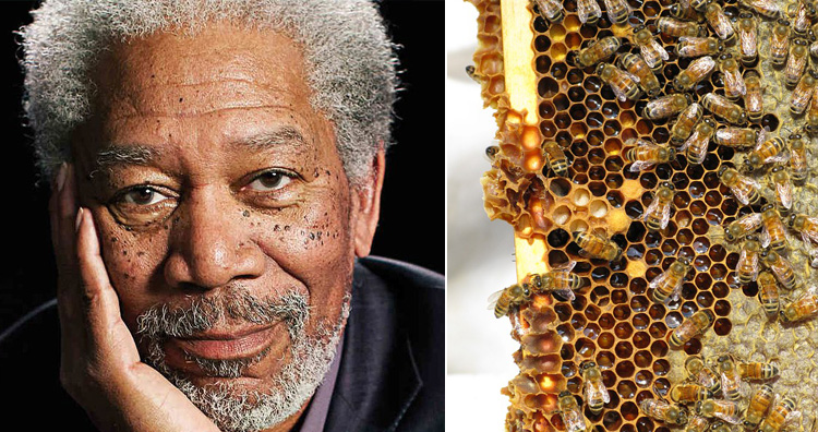 Morgan Freeman as a beekeeper
