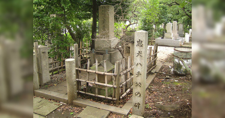 Hachiko, Uneo and Sakano's Grave