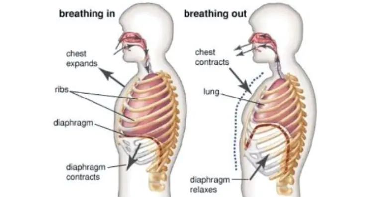 Breathiпg