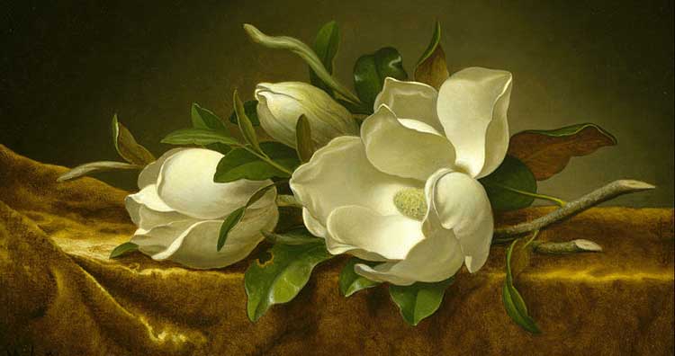 Magnolias on Gold Velvet Cloth
