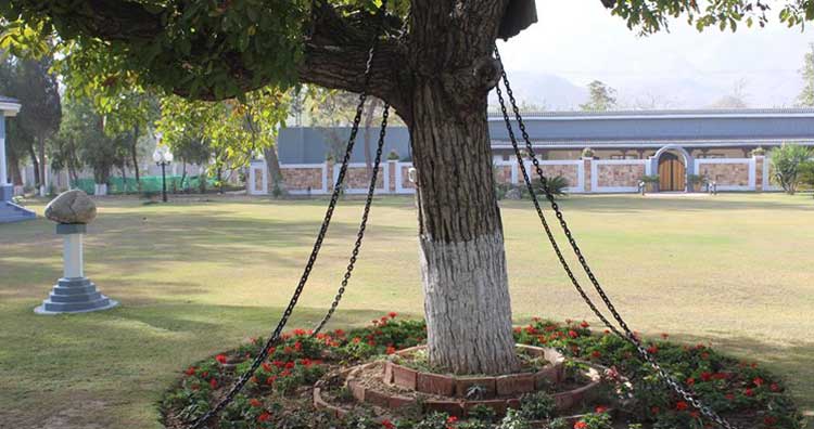 Banyan tree pakistan under arrest