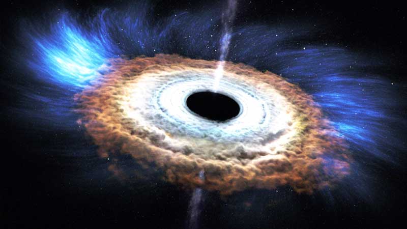 Black Hole shreds a passing star