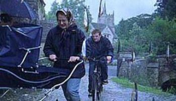 Picture Is Animal Rain a Real Phenomenon? Understanding the Science Behind It