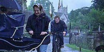 Picture Is Animal Rain a Real Phenomenon? Understanding the Science Behind It