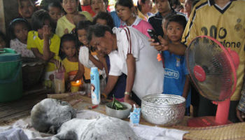 Picture Buffalo in Thailand Gives Birth to Offspring with Human-Like Face