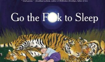 Picture There is a children’s book titled “Go The F to Sleep.”