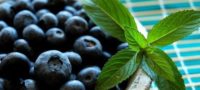 Picture Blueberries can help improve your memory.