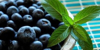 Picture Blueberries can help improve your memory.