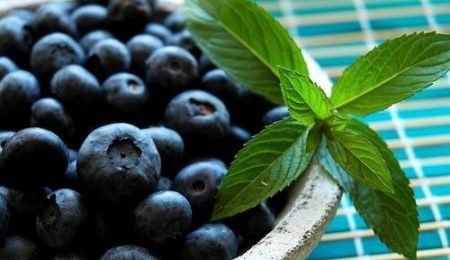 Picture Blueberries can help improve your memory.