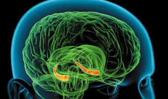 Picture A man who acquired super-human memory skills.