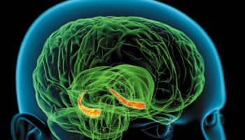 Picture A man who acquired super-human memory skills.