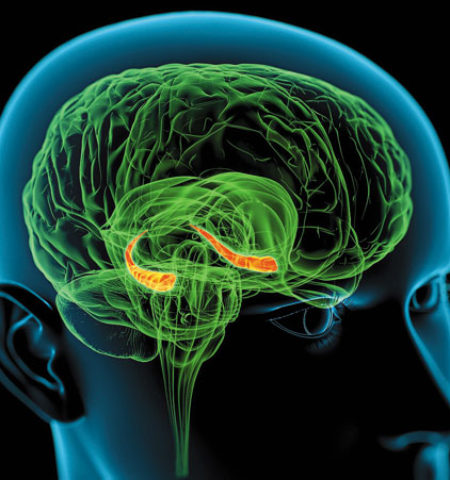 Picture A man who acquired super-human memory skills.