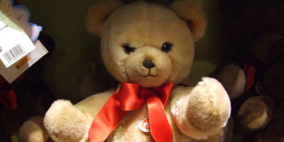 Picture Teddy Bear Killed More People Than Grizzly Bears.