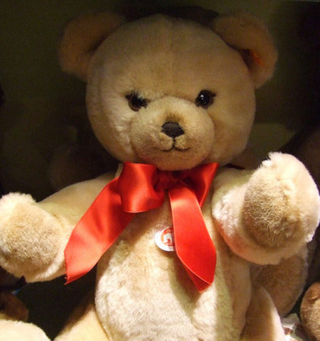 Picture Teddy Bear Killed More People Than Grizzly Bears.