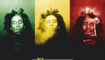 Picture 11 Facts About Bob Marley.