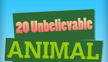 Picture 20 Unbelievable Facts About Animals.
