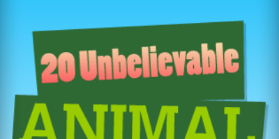 Picture 20 Unbelievable Facts About Animals.