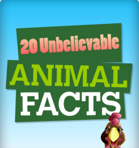 Picture 20 Unbelievable Facts About Animals.
