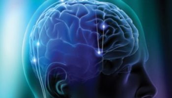 Picture 10 Unbelievable Facts About Human Brain That Everyone Should Know.