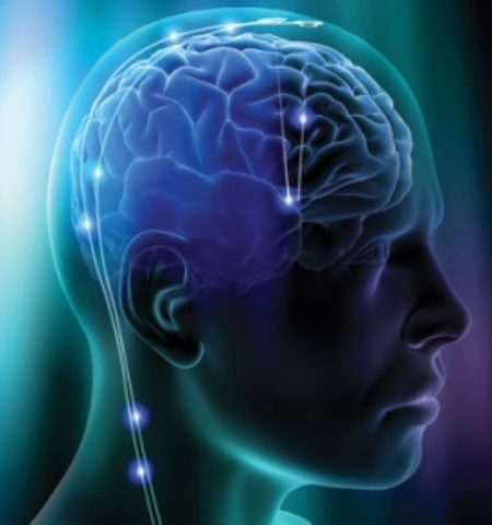 Picture 10 Unbelievable Facts About Human Brain That Everyone Should Know.