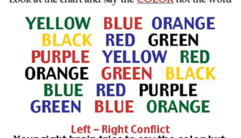 Picture Left Brain & Right Brain Conflict,Must Try.