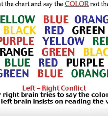 Picture Left Brain & Right Brain Conflict,Must Try.