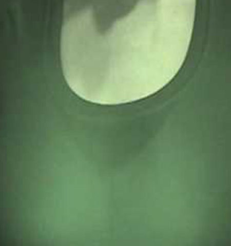 Picture In 1998 ,Sony Accidentally Sold 700,000 Camcorders That Could See Through People’s Clothes.