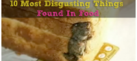 Picture Most Disgusting Things Ever Found In Food.