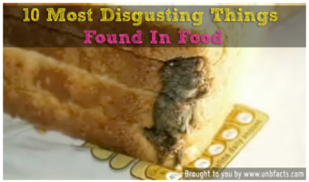 Picture Most Disgusting Things Ever Found In Food.