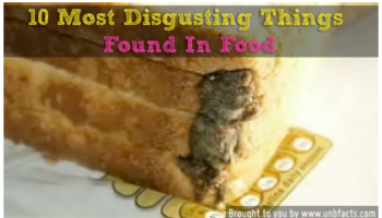 Picture Most Disgusting Things Ever Found In Food.