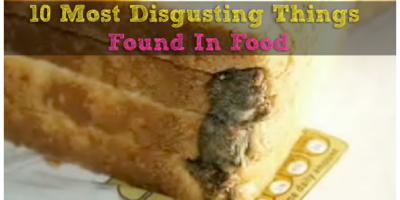 Picture Most Disgusting Things Ever Found In Food.