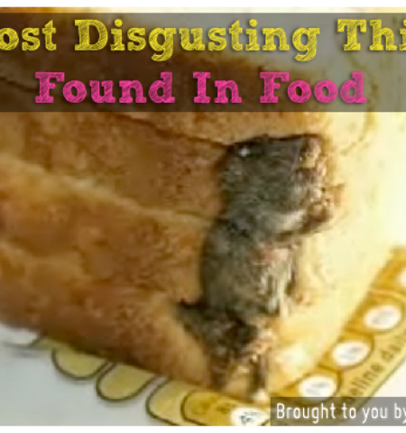 Picture Most Disgusting Things Ever Found In Food.