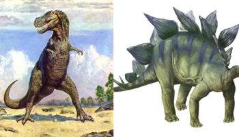 Picture Can You Make It Through This Post Without Having Your Mind Blown?